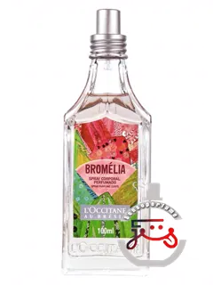 Bromélia L’Occitane Au Brésil